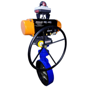 Pneumatic Butterfly Valve